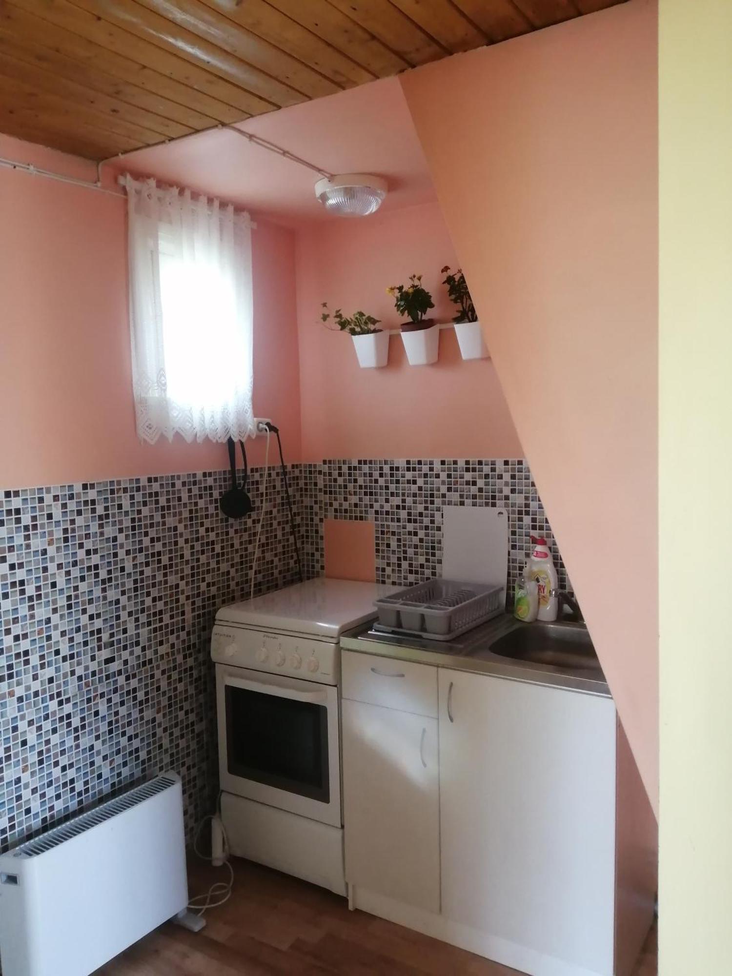 Searooms Lapmežciems Стая снимка